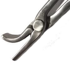 FootPro - Saddlehorse Clincher